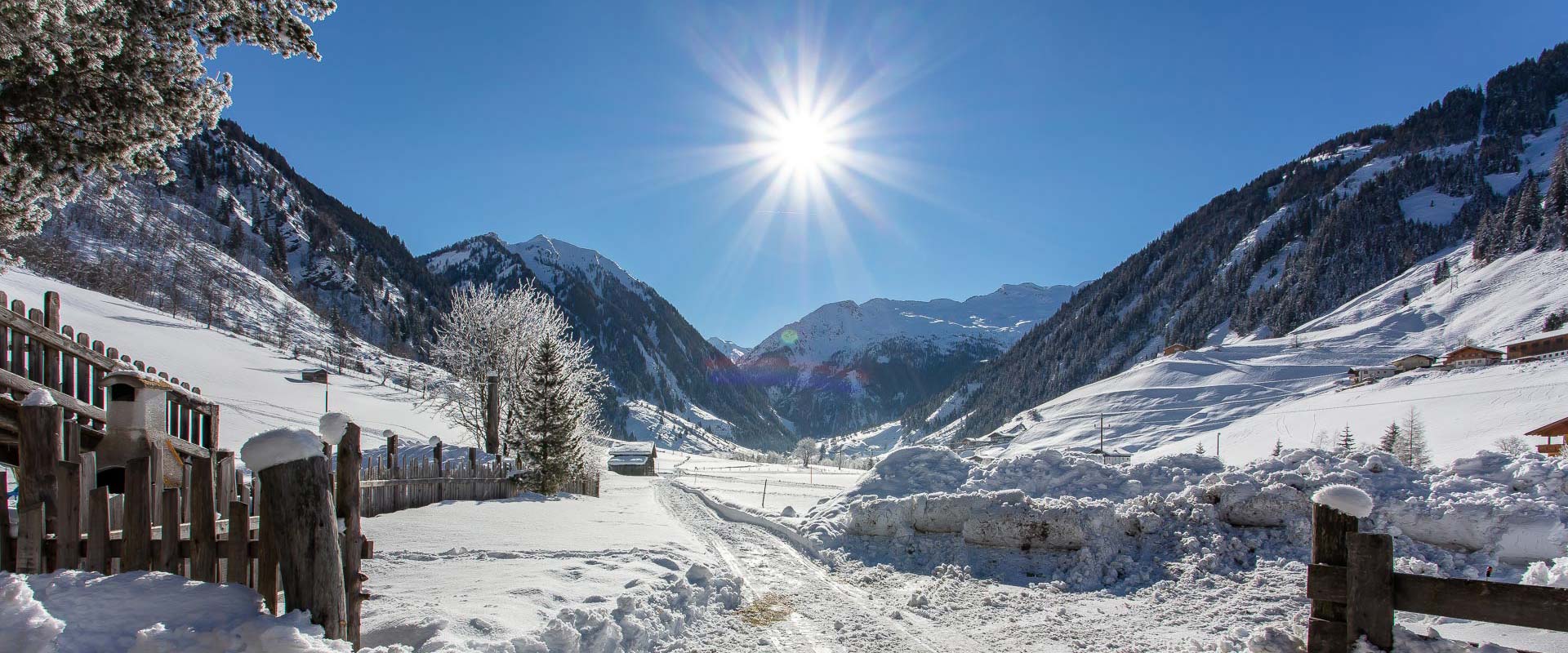 Ferienhaus Grossarl Winterurlaub Pferdekutschen 8869